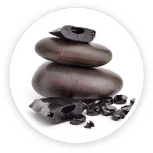 Shilajit sex power
